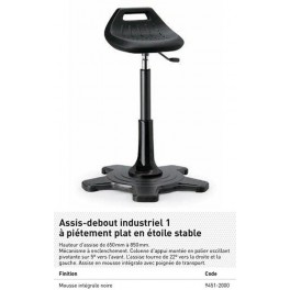 SIEGE ASSIS/DEBOUT MOUSSE INTEGRALE NOIRE SIEGE ASSIS/DEBOUT MOUSSE INTEGRALE NOIRE